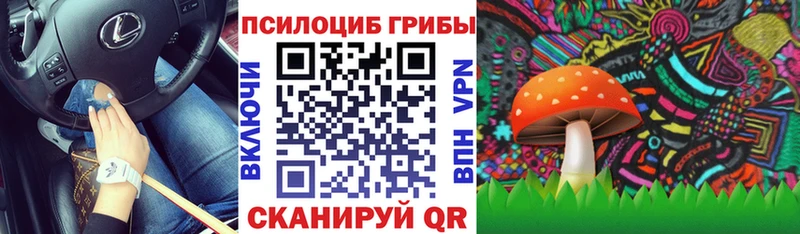 Галлюциногенные грибы мицелий  площадка клад  Мглин 